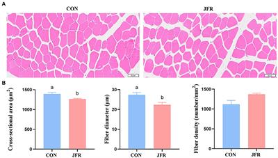 Dietary supplementation with jasmine flower residue improves meat quality and flavor of goat